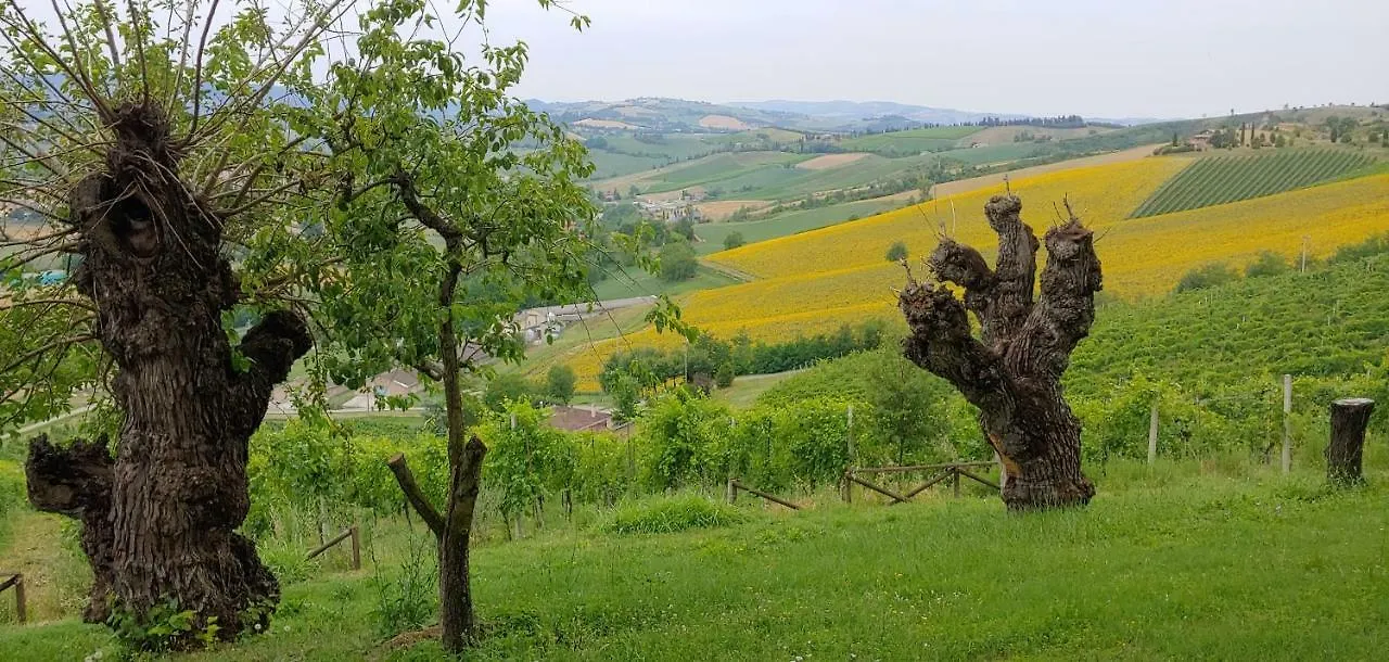 Maison de vacances Casa Ca' Driano à Monteveglio Hébergement de vacances